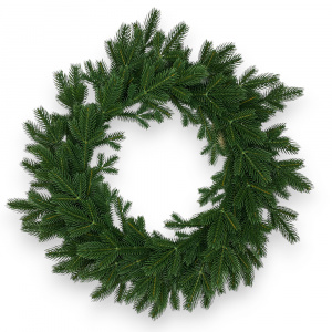 8207